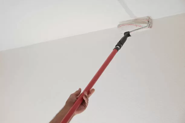 Rénovation de peinture après dégâts des eaux, Villeneuve-Loubet, NREP